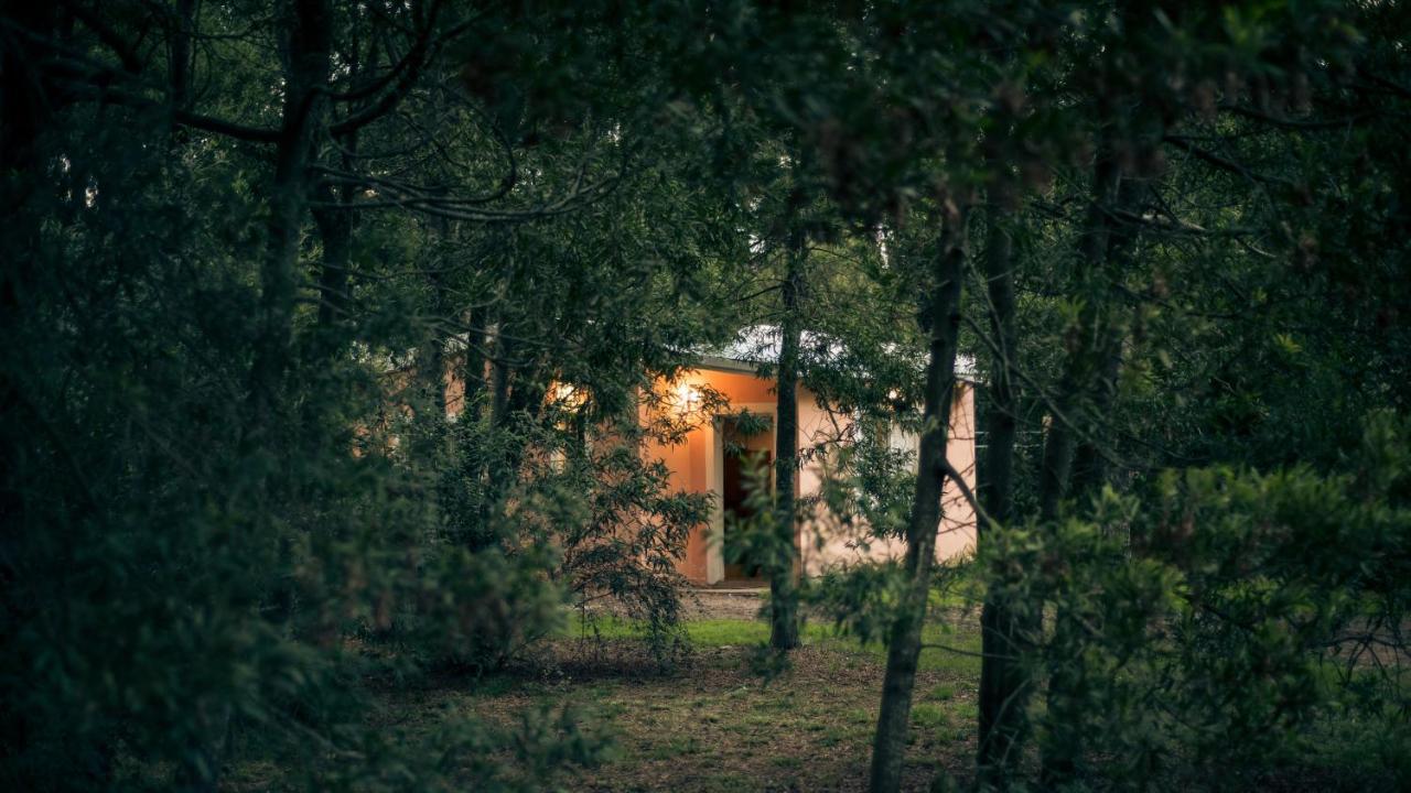 Apartament Nomeolvidesmas Tandil Zewnętrze zdjęcie