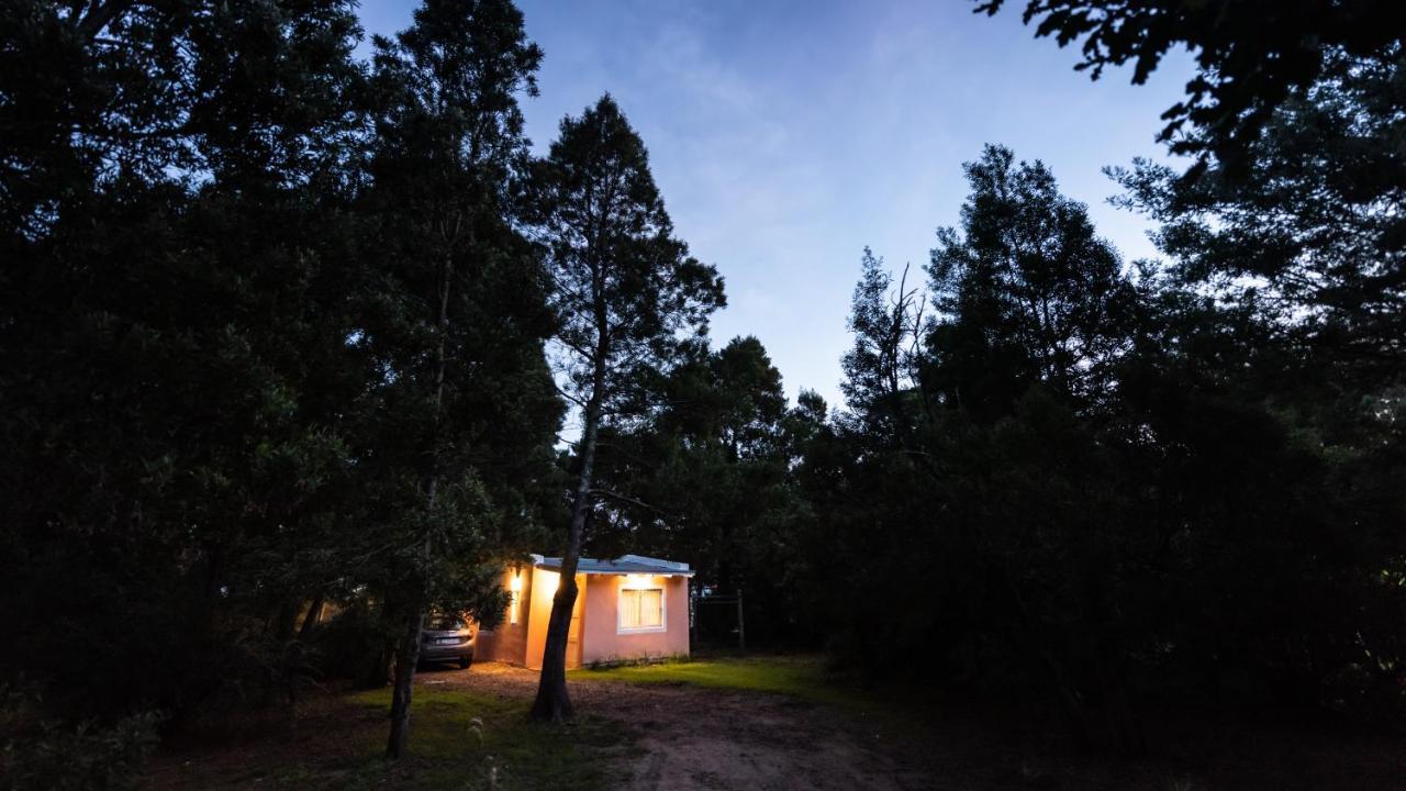 Apartament Nomeolvidesmas Tandil Zewnętrze zdjęcie